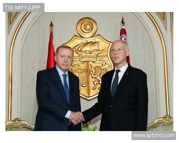 土耳其与突尼斯精彩对决回放分析及赛后点评