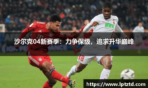 沙尔克04新赛季：力争保级，追求升华巅峰